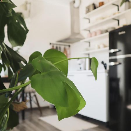 Urban Jungle Apartment - Free Parking ليوبليانا المظهر الخارجي الصورة
