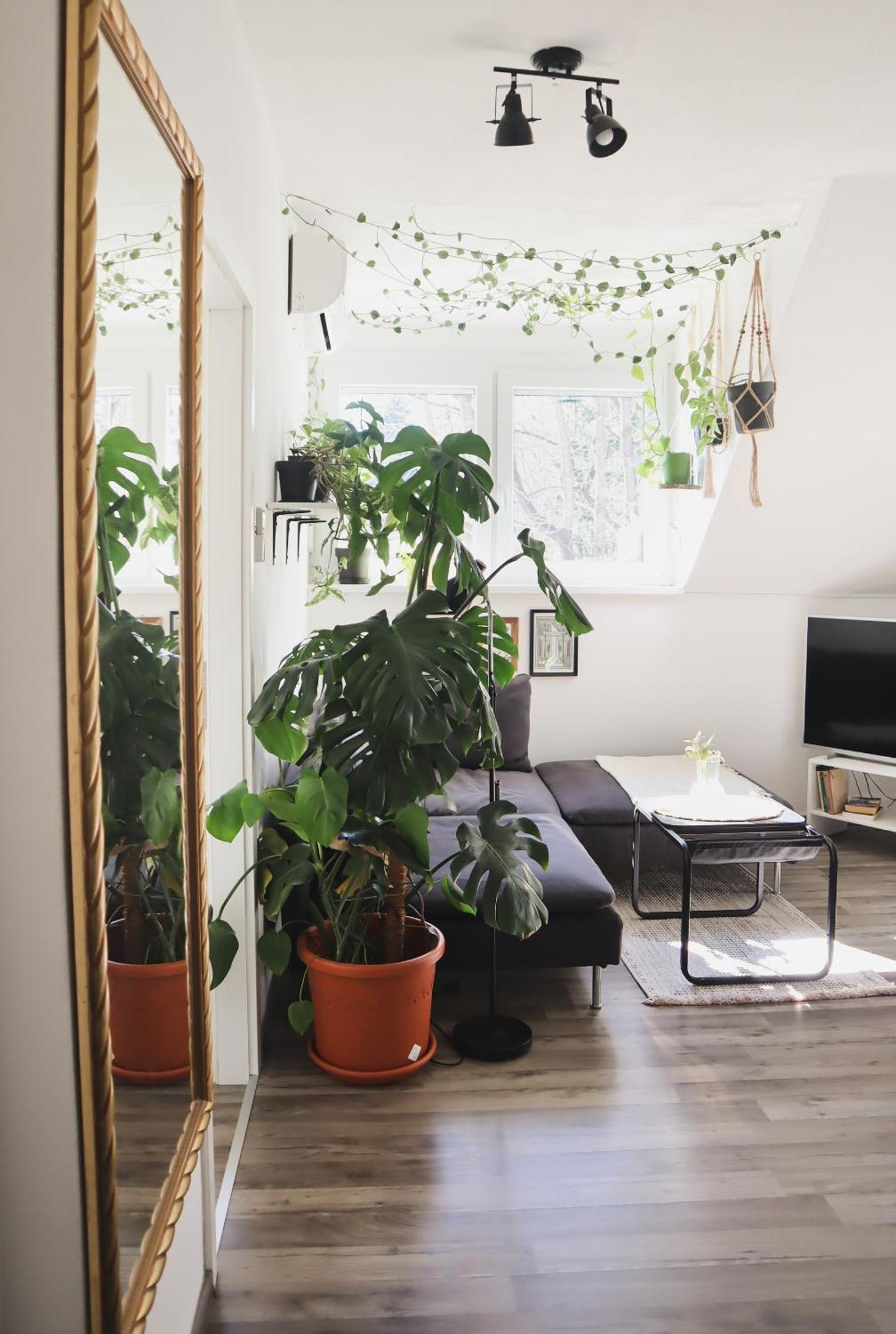Urban Jungle Apartment - Free Parking ليوبليانا المظهر الخارجي الصورة