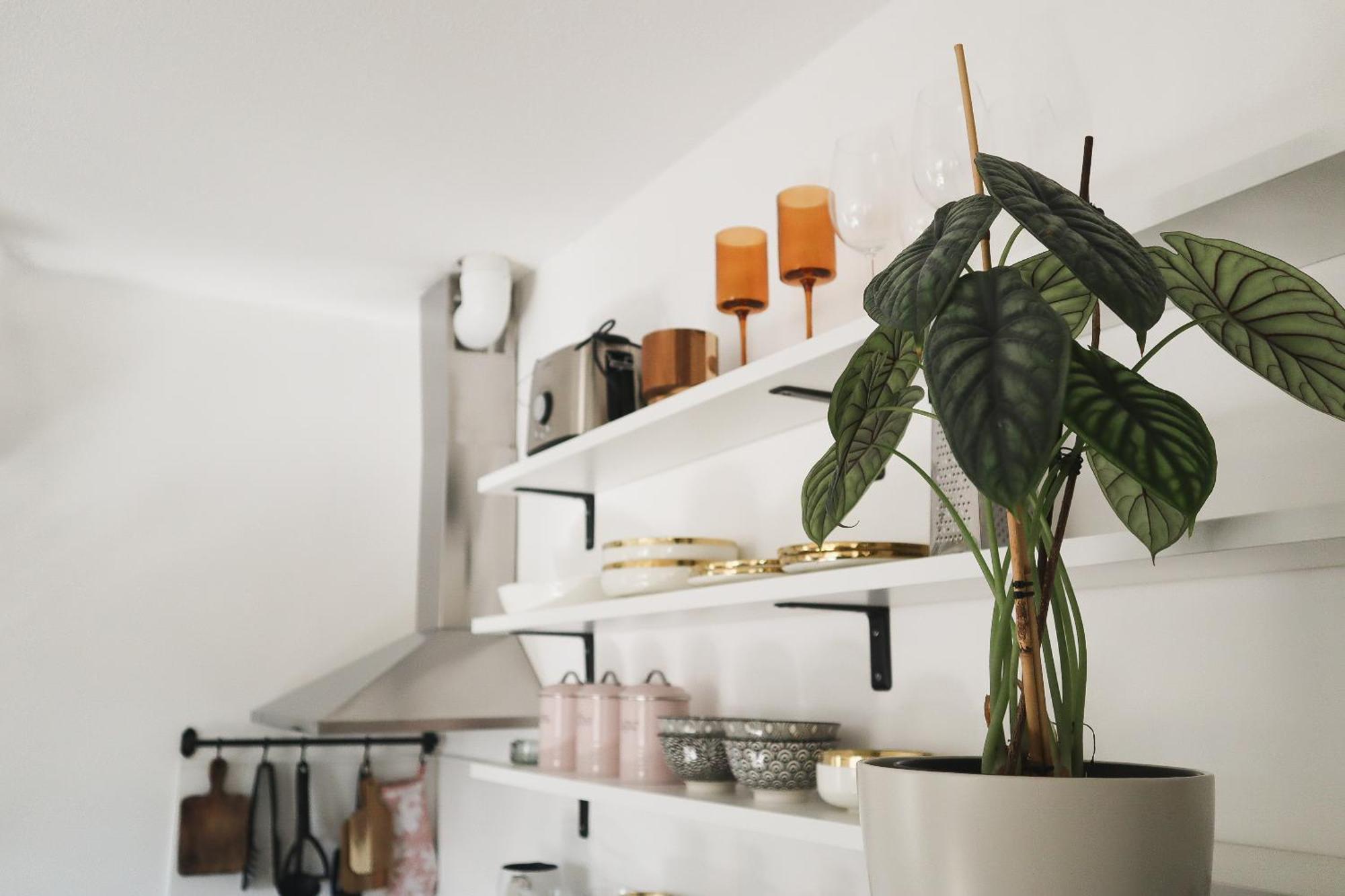 Urban Jungle Apartment - Free Parking ليوبليانا المظهر الخارجي الصورة
