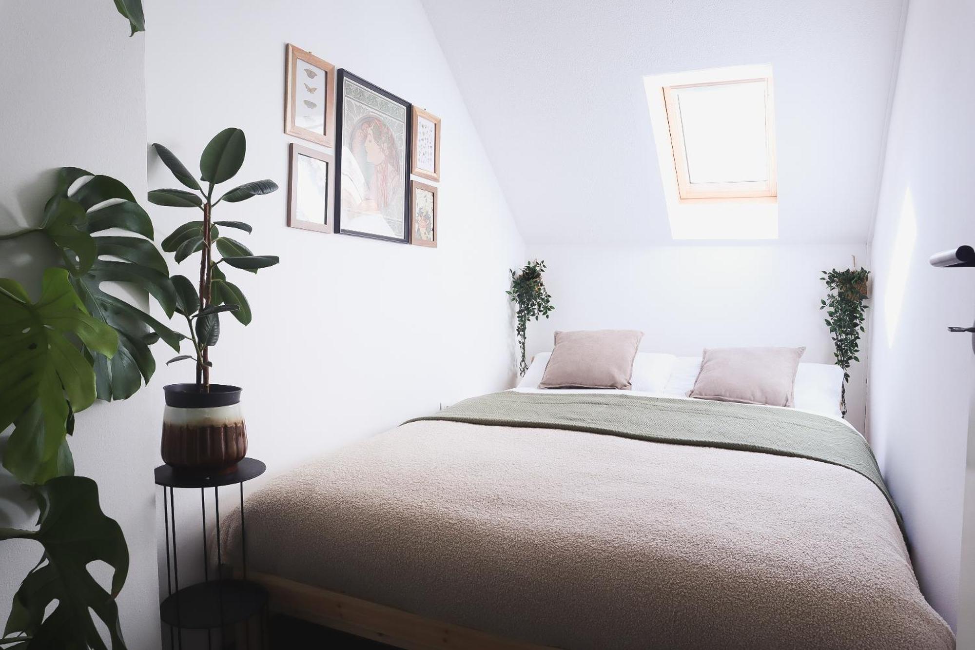 Urban Jungle Apartment - Free Parking ليوبليانا المظهر الخارجي الصورة